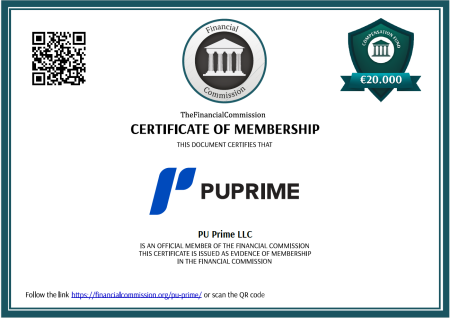 Pu Ptime LLC